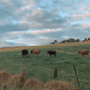 Meet your Posher, Mason